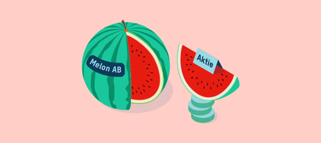 Så fungerar en aktie